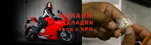 ALPHA-PVP Гусев