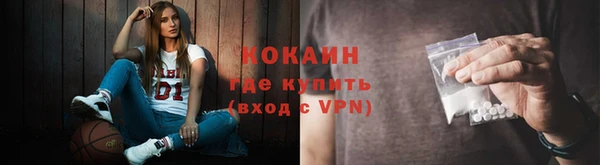 ALPHA-PVP Гусев