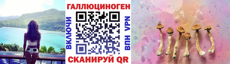 Псилоцибиновые грибы GOLDEN TEACHER  Купить  Стерлитамак 
