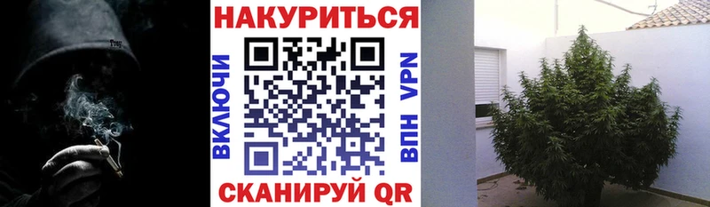 Конопля AK-47  Купить закладки  Стерлитамак 